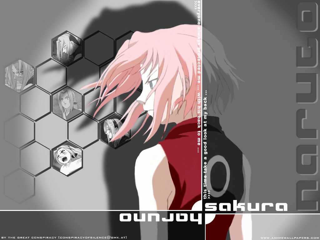 Sakura wallpaper