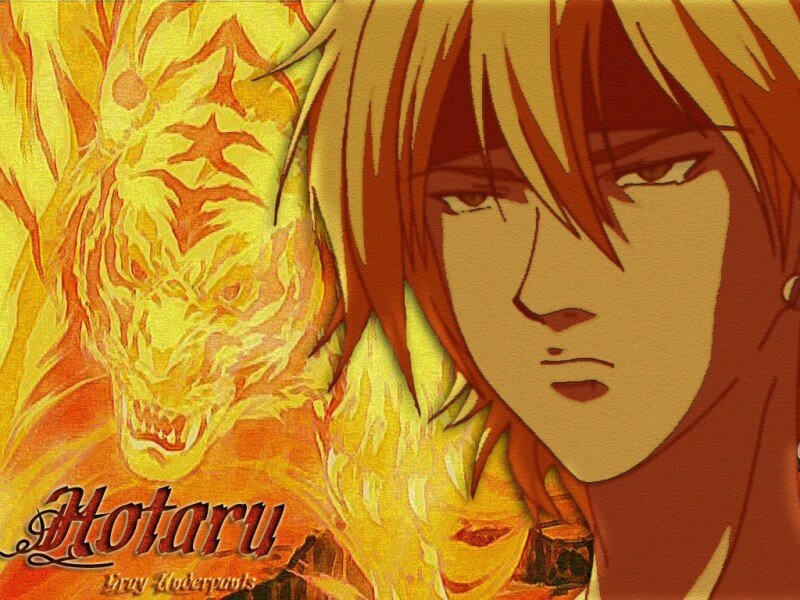 Hotaru wallpaper