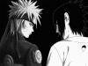 Naruto and Sasuke (Shippuden)