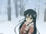 Shana