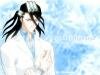 Byakuya wallpaper