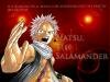 Natsu wallpaper
