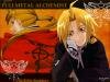 FMA -Elric Brothers