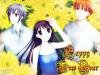 Fruits Basket